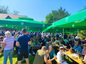 Prvomajska veselica na Zalešću uz tamburaše, Hrvatski vojnički grah i pečenu ribu