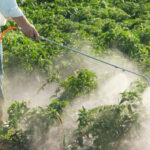 Obavijest poljoprivrednicima – održiva uporaba pesticida